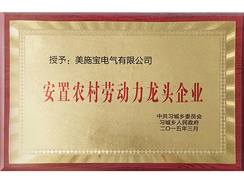 安置农村劳动力龙头企业