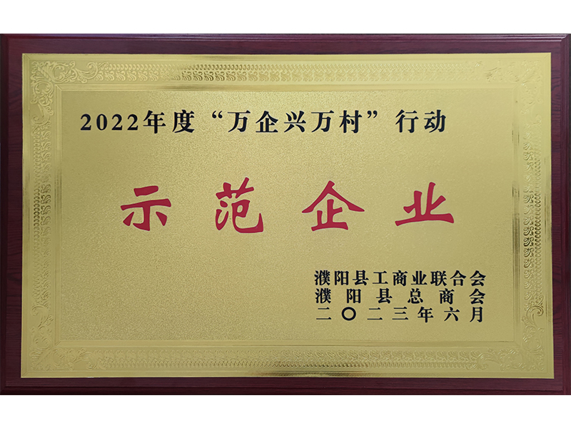 万企兴万村行动示范企业